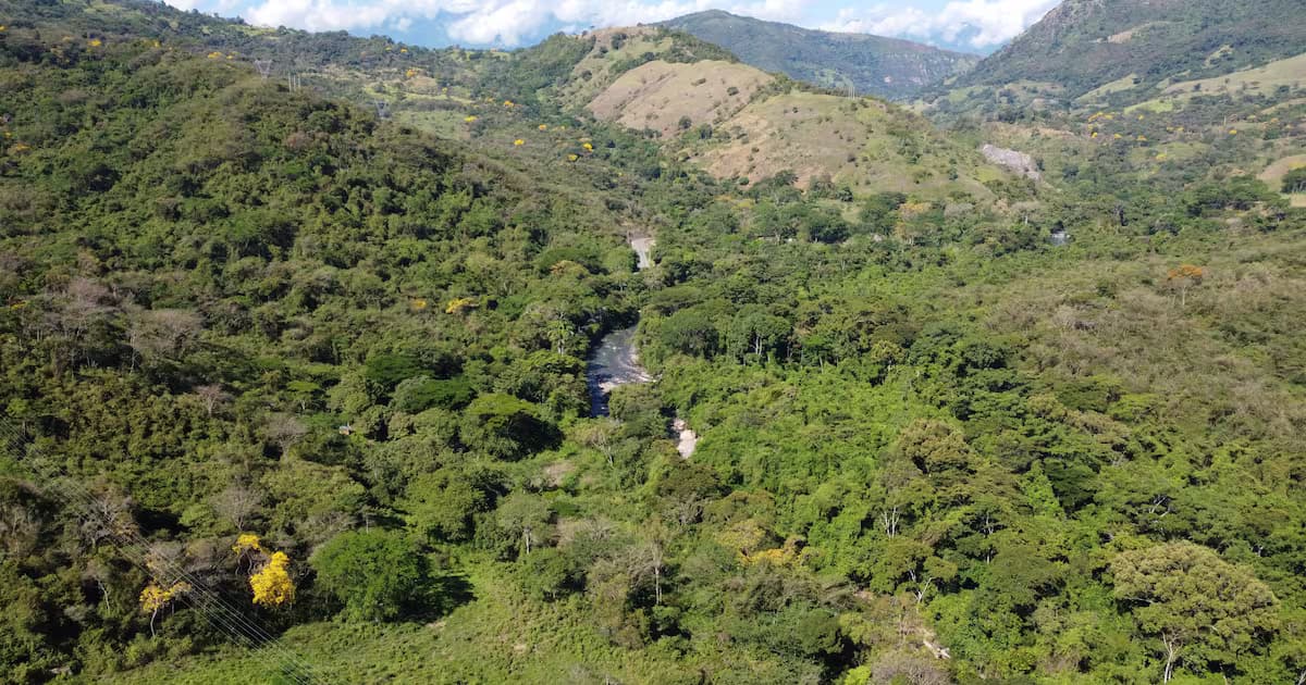 Vista aérea de montañas boscosas atravesadas por un río en Santander
