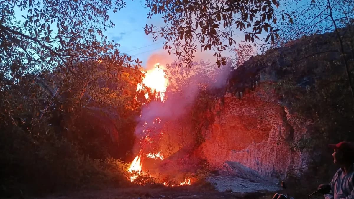 Un incendio forestal arde al anochecer en la ladera de un cerro, con llamas que trepan por la maleza seca y una densa columna de humo entre los árboles