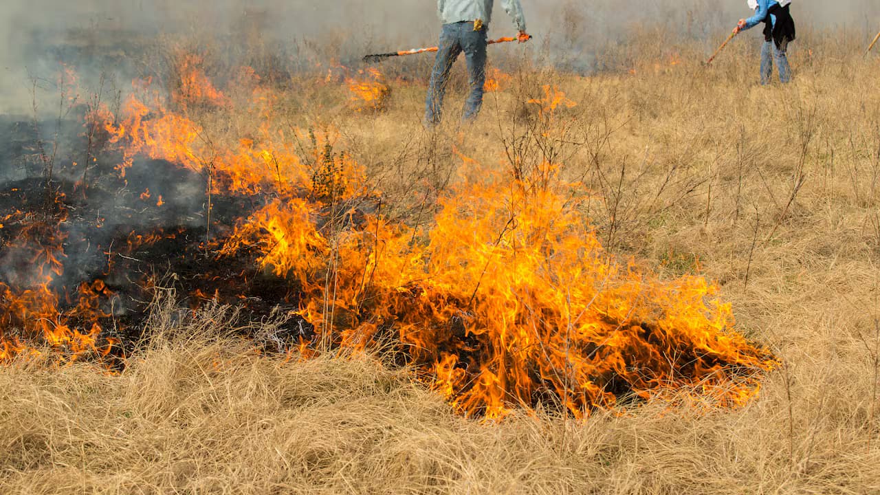 Un incendio forestal avanza sobre pastizales secos en una zona rural de Colombia