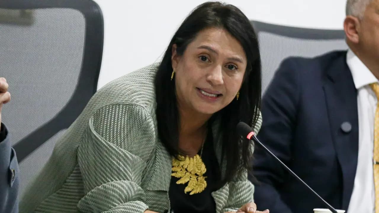 La ministra de las Culturas, Paola Holguín, durante una intervención pública