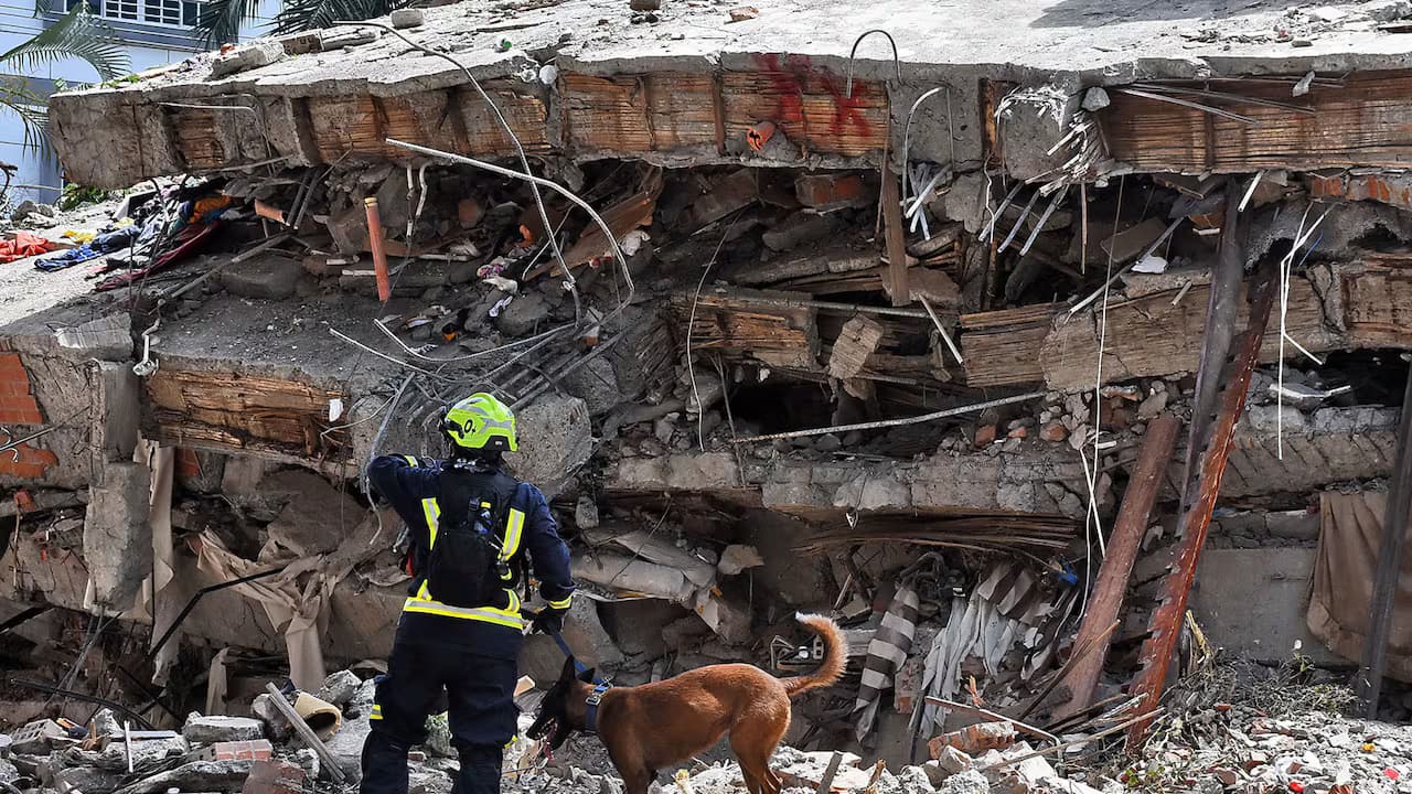 Un socorrista con casco recorre con un perro los escombros de un edificio derrumbado
