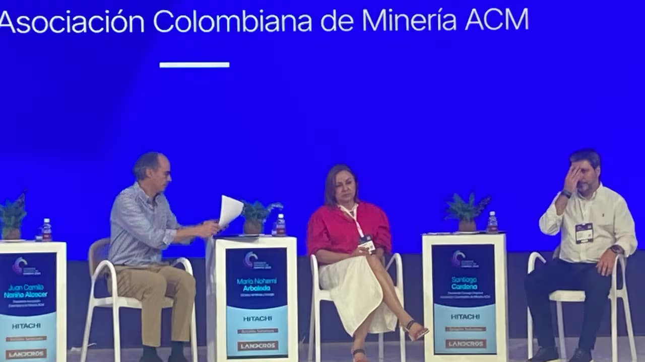 La ministra de Minas y Energía, María Nohemí Arboleda, en un panel del congreso de la Asociación Colombiana de Minería