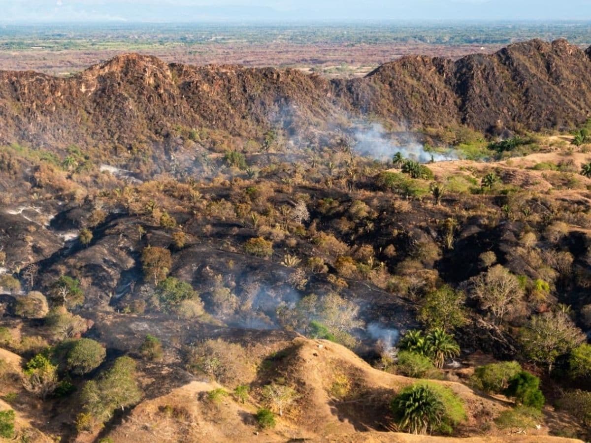 Ladera arrasada y con focos de humo tras el paso de un incendio forestal