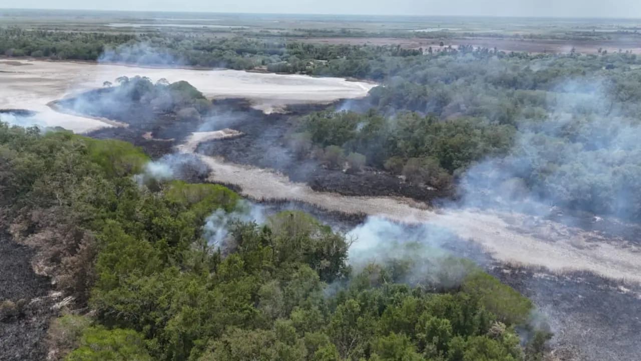 Vista aérea de una zona de manglar y vegetación con columnas de humo que salen de parches quemados junto a playones secos